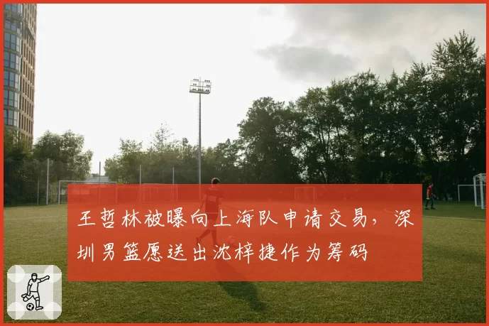 王哲林被曝向上海队申请交易,深圳男篮愿送出沈梓捷作为筹码