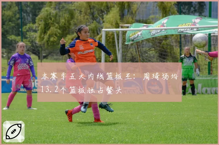 本赛季五大内线篮板王：周琦场均13.2个篮板独占鳌头